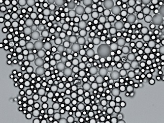 Microscope picture of Competitor silica particles after test