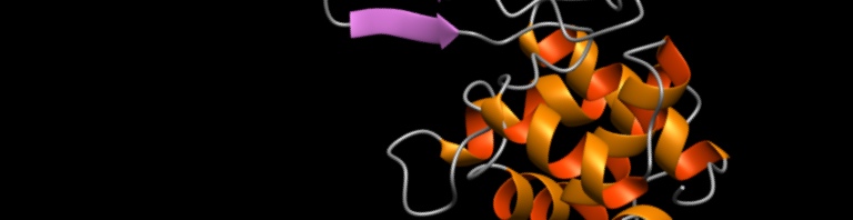 lysosyme backbone